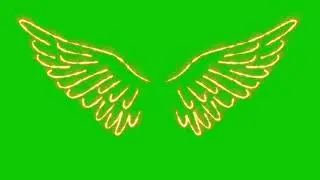 ORANGE NEON WINGS GREEN SCREEN HD