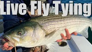 Tying Saltwater Flies for Weakfish & Striped Bass - Live Saltwater Fly Tying