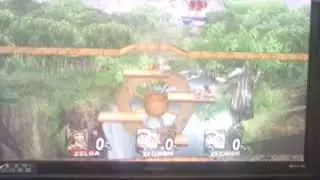 Super Smash Bros Brawl Event Match 17  Super Waterfall Climb