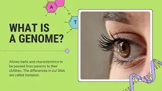 Genetic Variation Educational Video