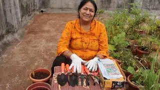 Gardening Tools You must Buy | Gardening Basics | Low Cost Gardening Tools in Marathi