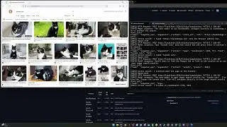 Microsoft Fara Agent Local (LM Studio) GGUF Q6_K Demo