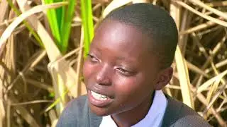 BITTER HARVEST ST TIMONS RABONDO AWARD WINNING SHORT FILM 2025 DRAMA FESTIVAL