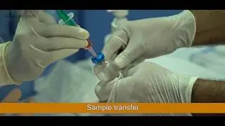 Blood Culture Sample Collection | Blood Culture Collecting Techniques | Blood Culture Testing