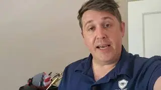 Severe bed bug infestation in Reading Pa