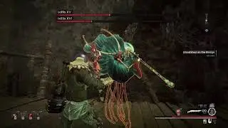 Remnant: From the Ashes. Ixillis XV Solo Kill (Apocalypse)