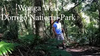 Walk & Talk - Episode 72 - Wonga Walk - Dorrigo National Park