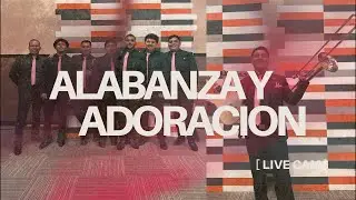Directing the Band: Mira Las Proezas | Vestido en Majestad | L&aacute;mpara