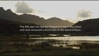 Alakoko Fishpond