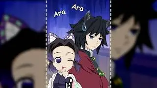 Giyu and Shinobu LOVE Story 🌊🦋 COMPLETE EDITION | Meet Siaeden