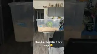 I build my hamster a new bin cage