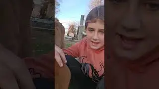 chicken clean out Hope you guys love this part one come back for part 2😍😍😍
