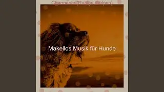 Luxus- Hunde - Momente