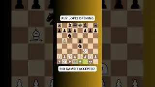 Ruy Lopez: Berlin Defense, Rio Gambit Accepted
