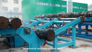 RUS: Презентационный фильм про Биовуд