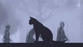 Quiet Rain 🐈&zwj;⬛ Chill Music with Cat by the Window