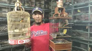 TEMPAT BURUNG RAWATAN DAN UNIK