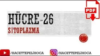 44 - H&Uuml;CRE-26- SİTOPLAZMA | TYT | 9.Sınıf | #hacettepelihoca