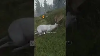 COTW Gamo Albino em Hirschfelden missao Jager10. #cotw #thehunter #callofthewildgameplay