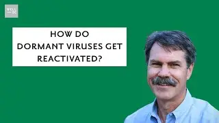 How Dormant Viruses In Cells Trigger Chronic Disease