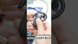Eagle Mi Guide - Product Introduction of Team Wireless Guide L8 Model