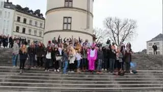 Harlem Shake - D&uuml;sseldorf Flash Mob dubble edition