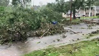 08-04-2020 Doylestown PA Tornado Damage