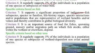 Important facts about Wetlands-Rajani Classes