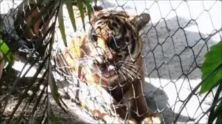 Palm Beach Zoo Celebrates National Zoo Keeper Week