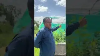 Fisheries and Aquatic Research in Sindh university, Jamshoro 