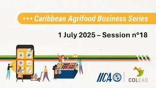 IICA-COLEAD Caribbean Agribusiness Series - Session 18 - E-commerce and digital marketing