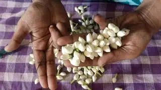 unique&easy trick to tie Jasmine flower mala closely/madurai malligai poo kattuvadhu epadi/how to