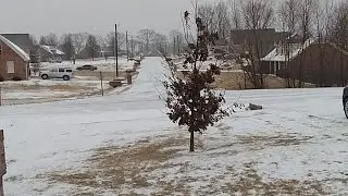 SNOW IN MEMPHIS IRL STREAM