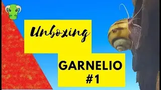 Unboxing 📦 Garnelio #1