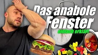 Der MYTHOS vom ANABOLEN FENSTER | #erklärbulle