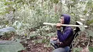 jerat landak malah kena sigong