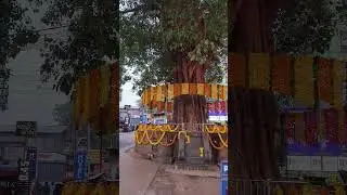 koodalmanikyam #temple #pallivetta #orukkangal