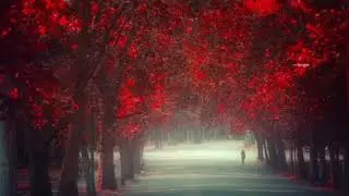 The  Night of my Darling 💘 Dolore duran. (Amazing piano)