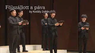 F&ouml;lsz&aacute;llott a p&aacute;va /Voces Veritas