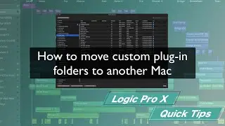 How to move custom Plug-in folders to another Mac