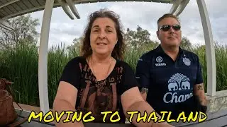 5.  International Pet Transport #chiangmai  #judyanddaveinthailand