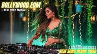🌙 Hindi Remix Universe | Smooth Chill EDM | Bollywood Night Drive Mix