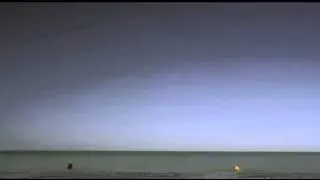 Тампоны Tampax