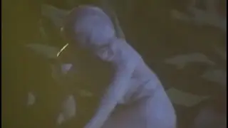 Gotcha (Australian short film 1991)