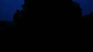 Dawn Chorus with spectacular Song Thrush