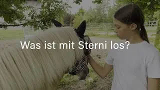 Was ist los mit Fohlen Sterni? 😔