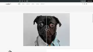 Before and After Slider Widget | Tutorial by Without Code