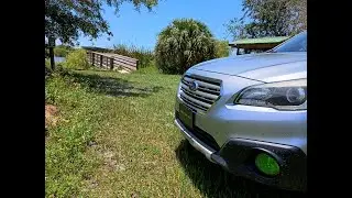 Subi Goes to Florida: Dupuis Wildlife and Environmental Area