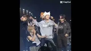 Cat🐭 #skz #cat #hat #stray #man #lee know #felix