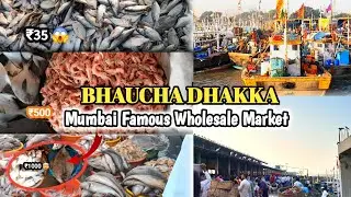 Bhaucha Dhakka Fish Market | Mumbai Famous Wholesale Market | Fresh & Cheapest Seafood Prices